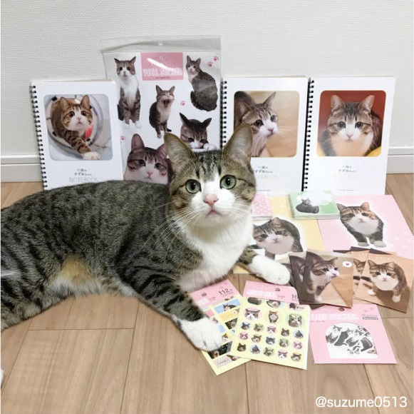Ｃａｎ★Ｄｏ（キャンドゥ）　アドバンスねやがわ店