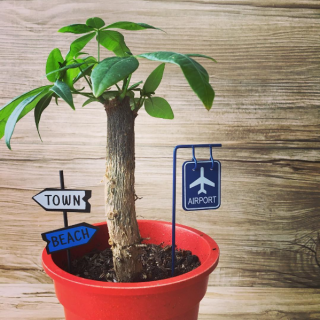 ピックをさすだけ、小さな世界のできあがり。 “１００円で暮らしは楽しくなる。“