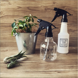 水やりもかわいく、たのしく。★観葉植物　“１００円で暮らしは楽しくなる。“