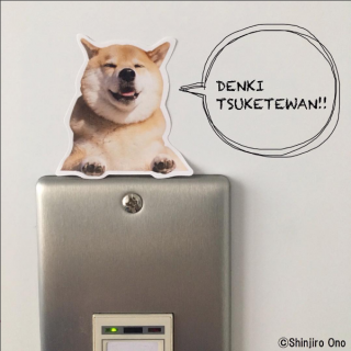 お部屋にまるちゃん発見！  @marutaro 　#柴犬まる　“１００円で暮らしは楽しくなる。“