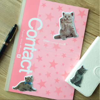 にゃんにゃんにゃん。　#キャットやわらかシール#文房具　“１００円で暮らしは楽しくなる。“