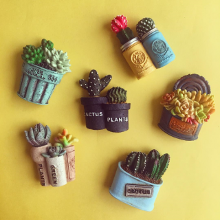 マグネットで簡単に取り入れられる、この夏のトレンド。　#100均 #雑貨 #マグネット #サボテン #多肉植物　“１００円で暮らしは楽しくなる。“