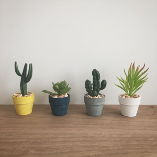 背くらべを開催するさぼ〜　 #100均 #雑貨#カクタス #さぼてん #グリーン #cactus #園芸　“１００円で暮らしは楽しくなる。“