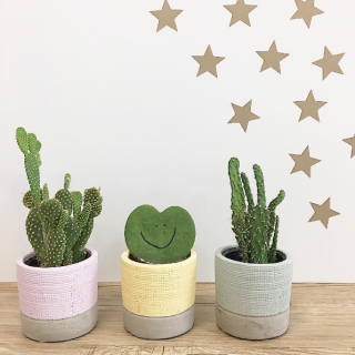 ランダムに星をちりばめて、星空の完成〜★　#グリーン #カクタス #cactus　“１００円で暮らしは楽しくなる。“