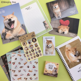 柴犬まる @marutaro コラボ商品、待望の第２弾♡　リングノートや封筒など胸熱アイテムいっぱい♪　“１００円で暮らしは楽しくなる。“
