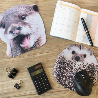わーい！かわいいマウスパッドー！　#100均 #100円ショップ#雑貨 #文房具 #文具 #事務文具 #カワウソ #ハリネズミ　“１００円で暮らしは楽しくなる。“