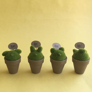 あれれ？よく見ると……………ヒントは吹き出し！　#100均 #100円ショップ #雑貨 #グリーン #造花 #アニマル #インテリア　“１００円で暮らしは楽しくなる。“