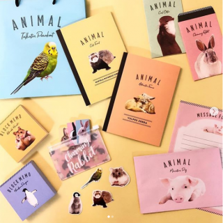 かわいい小動物がいっぱい！　 Can★Zooがオープンしました♪　#100均 #100円ショップ #雑貨 #アニマル #カワウソ #フェレット #インコ #ハムスター #うさぎ #フクロウ #リス #フェネック　“１００円で暮らしは楽しくなる。“