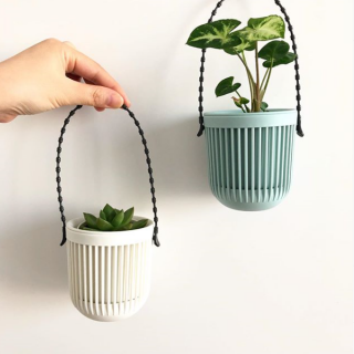 2重構造で通気性の良い、ナチュラルカラーの植木鉢。 吊り鉢としてはもちろん、置き鉢としても使えます。 　#100均 #100円ショップ #雑貨 #mycando #観葉植物 #インテリア #園芸 #暮らし #吊り鉢　“１００円で暮らしは楽しくなる。“