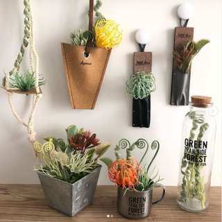 アレンジパーツとしてはもちろん、 そのまま飾っても楽しめるジップバック入のフェイクグリーン。 　#100均 #100円ショップ #雑貨 #mycando #造花 #インテリア #フェイクグリーン #アレンジパーツ　“１００円で暮らしは楽しくなる。“