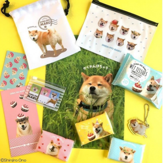 ★まるちゃん Happy Birthday★ 柴犬まる @marutaro コラボ商品！ついに第6弾♡ 10月30日(水)より順次発売予定！　“１００円で暮らしは楽しくなる。“