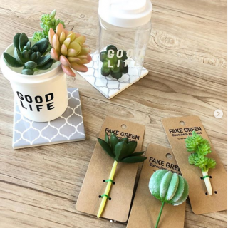 グリーンでつくる、癒しの空間　#100均 #100円ショップ #雑貨 #mycando #グリーン #インテリア　“１００円で暮らしは楽しくなる。“