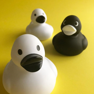 お風呂に連れて行ってほしいな♪　#100均 #100円ショップ #雑貨 #mycando #アヒル #お風呂 #バス #モノトーン #白黒 #おもちゃ　“１００円で暮らしは楽しくなる。“