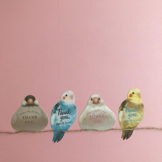ぼくたちがきもちをおとどけするよ♪　#100均 #100円ショップ #雑貨 #mycando #ありがとう #thankyou #とり #鳥 #bird　“１００円で暮らしは楽しくなる。“