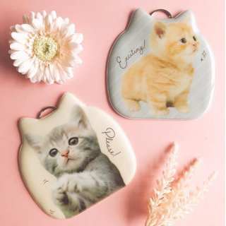 いっしょにつれていってほしいにゃん♪　#100均 #100円ショップ #雑貨 #mycando #定期券 #ねこ #猫 #cat　“１００円で暮らしは楽しくなる。“