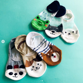 おうちでほっこり癒し系ソックス。　#100均 #100円ショップ #雑貨 #mycando #動物 #アニマル #いぬ #犬 #ネコ #ねこ #かえる　“１００円で暮らしは楽しくなる。“