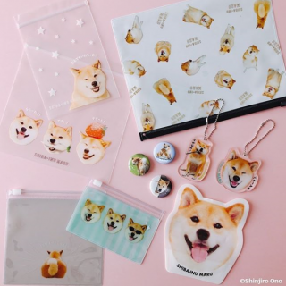 柴犬まる @marutaro コラボ商品！ついに第7弾♡ 　6月11日（木)より順次発売予定！ 　“１００円で暮らしは楽しくなる。“