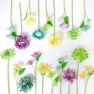 生活にお花を取り入れませんか？ “１００円で暮らしは楽しくなる。“