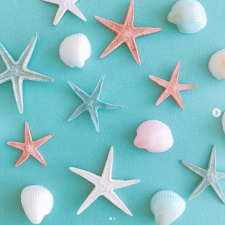 玄関やお部屋のインテリアに、一足お先に夏気分♪　“１００円で暮らしは楽しくなる。“