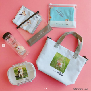 「柴犬まる @marutaro 」とのコラボ企画第9弾が発売決定！ 今回は柴犬まるコラボでは初となる220～550円（税込）商品も登場です！　“１００円で暮らしは楽しくなる。“