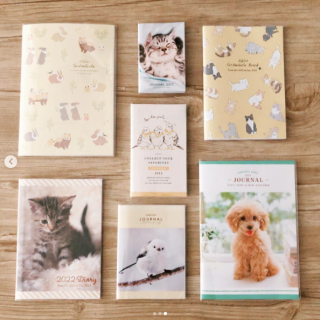 次のダイアリー色で選ぶ？模様で選ぶ？　“１００円で暮らしは楽しくなる。“