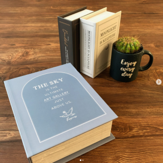 お部屋のインテリアにも、小物入れにも使用できるブック型のボックス。　“１００円で暮らしは楽しくなる“