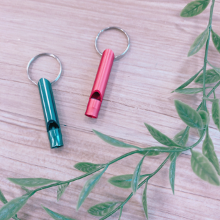 もしもに備えて、いつものバッグや鍵等にも。　“１００円で暮らしは楽しくなる“