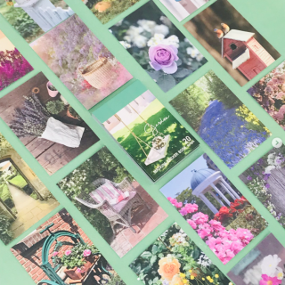 お花畑やガーデンイメージの画像を詰め合わせたエモフォトシール。　“１００円で暮らしは楽しくなる“