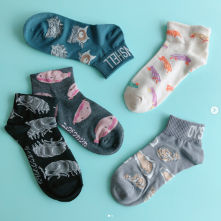 海や川などに生息する生き物たちの靴下が登場中♪ お気に入りの生き物は見つかるかな？　“１００円で暮らしは楽しくなる“