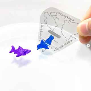 描いた絵が水の上を泳ぐ！？🐟泳いだ後はすくって遊べちゃう🎵 夏休みの自由研究やおうちの水遊びにおすすめの親子で楽しめるキットです。　“１００円で暮らしは楽しくなる“