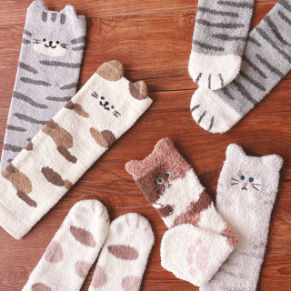 ふわふわもこもこの猫に囲まれる🐱♥　“１００円で暮らしは楽しくなる“