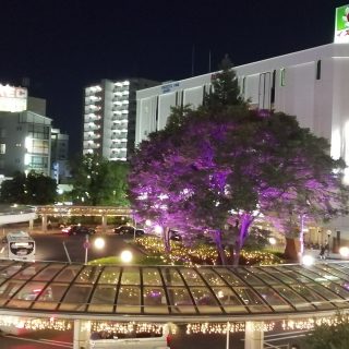 ≪ﾏﾈｼﾞﾒﾝﾄ≫　『あした元気にな～れ★寝屋川プロジェクト』参加・支援者募集