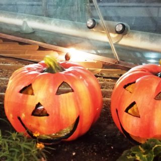 ≪ﾏﾈｼﾞﾒﾝﾄ≫　京阪寝屋川市駅前イルミネーション2021　工事開始のお知らせ