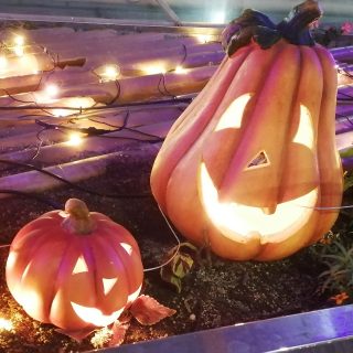 ≪ﾏﾈｼﾞﾒﾝﾄ≫　京阪寝屋川市駅前イルミネーション2021　点灯開始のお知らせ