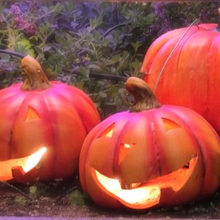 ≪ﾏﾈｼﾞﾒﾝﾄ≫　京阪寝屋川市駅前イルミネーション2022　点灯開始のお知らせ